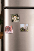 9 Custom Photo Magnets