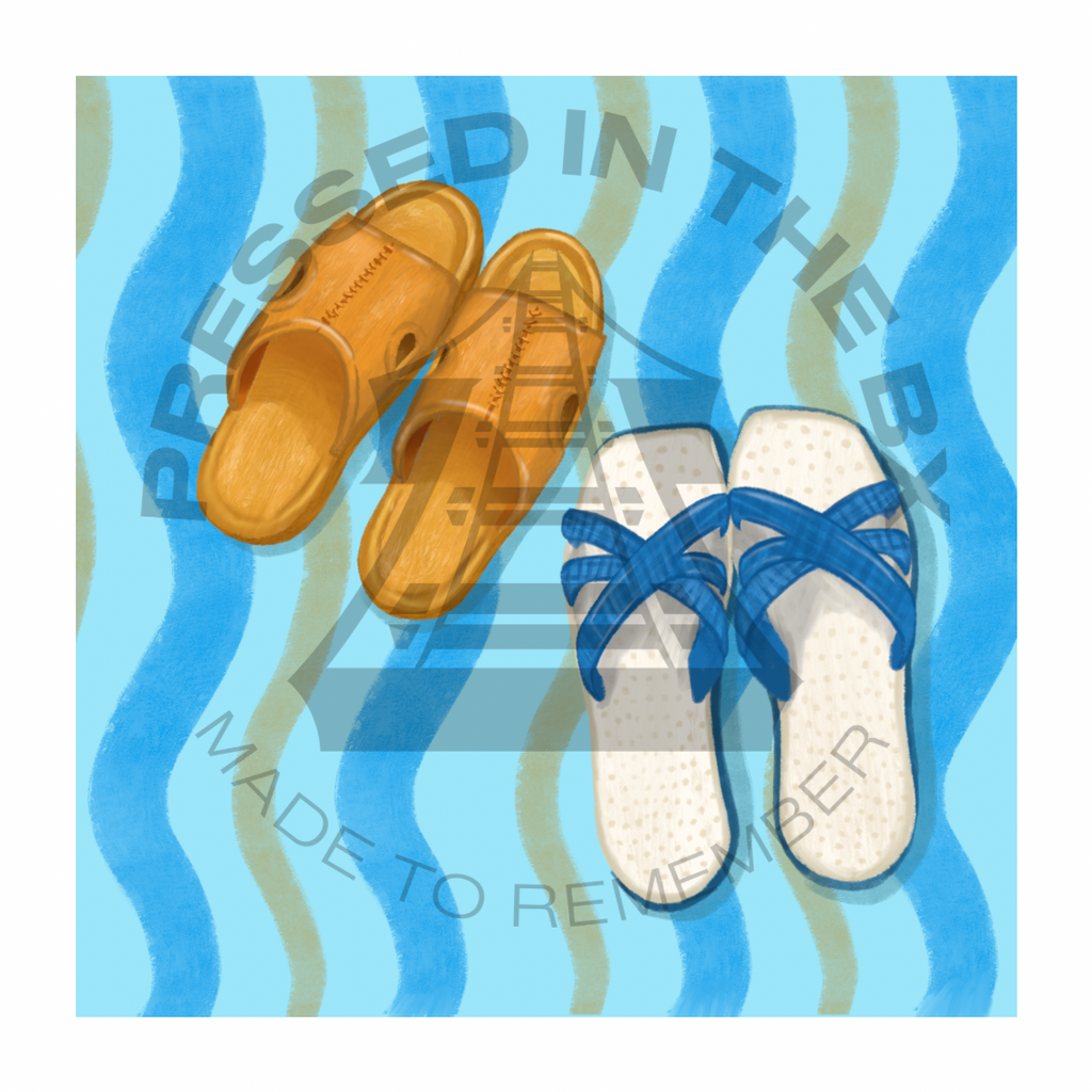 La Disciplina